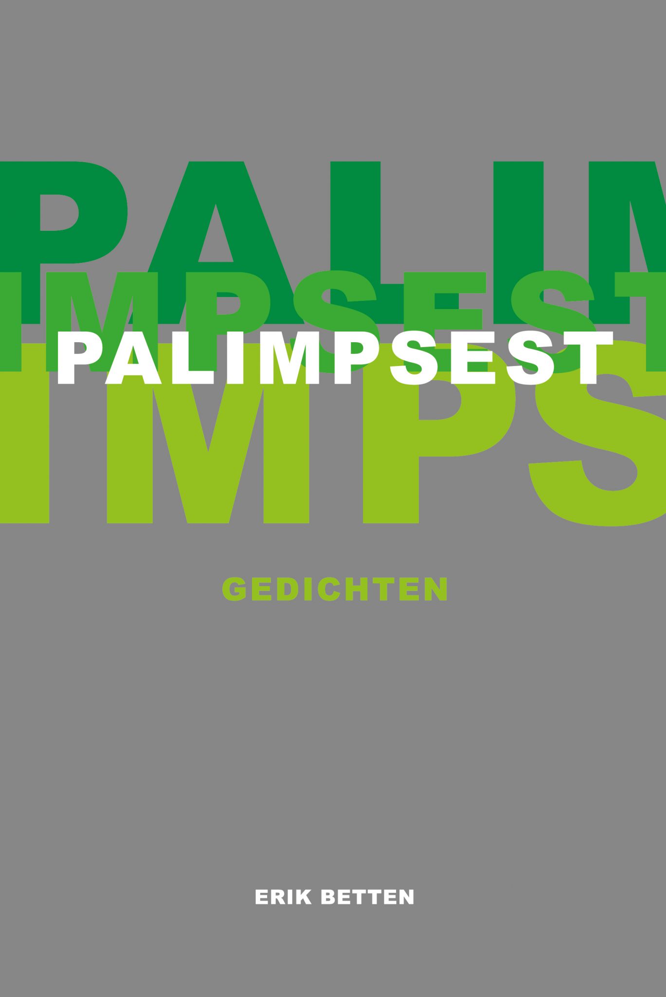 Omslag Palimpsest